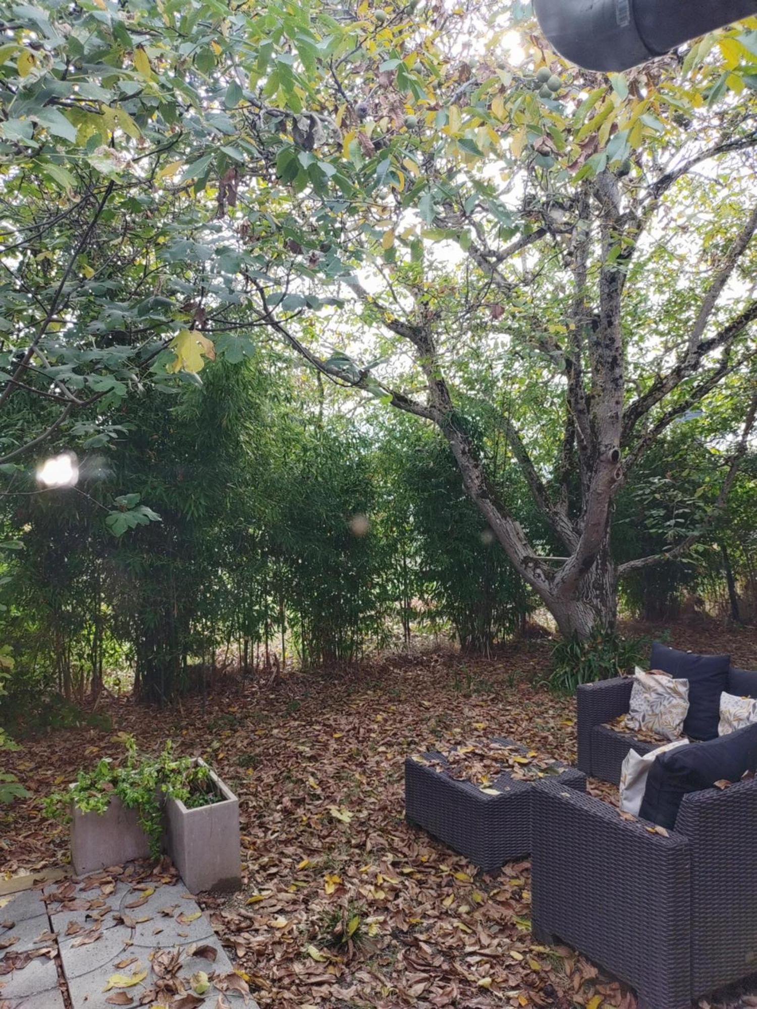 Dependance A La Campagne Cosy Et Calme Villa Teulat ภายนอก รูปภาพ